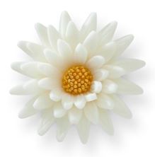 Picture of WHITE MARGERITA 6CM EDIBLE HAND MADE FLOWER CAKE TOPPER